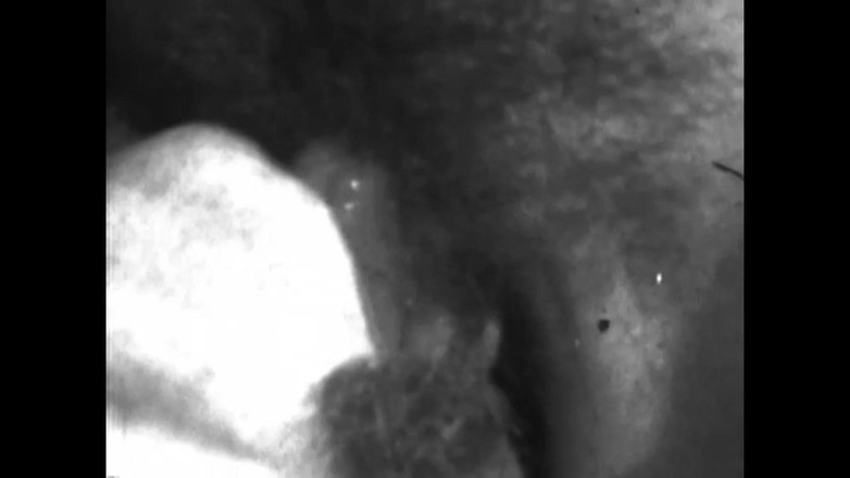 Vintage megastore: Potrestáni to vezmeme a sáme