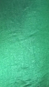 Indian Gay Crossdresser Gaurisissy purtând sari verde XXX și se simte sexy.