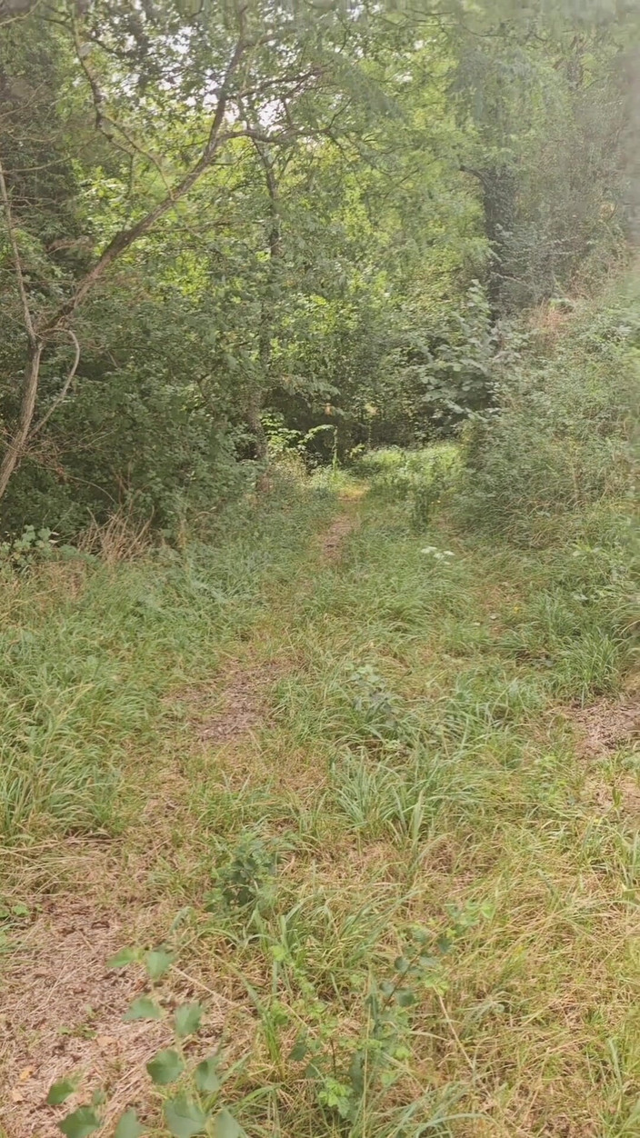 Sofy13: Exposição na floresta, mas me pegou