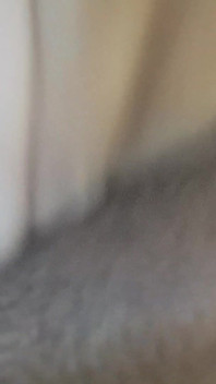 Âm hộ ướt át