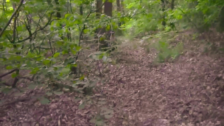 BELLOeBIOTTO: अच्छा और लंबा कमशॉट, शर्टलेस, एक सार्वजनिक जंगल में