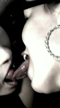 Trailer508