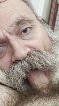 Old Bear Nurses Cock, Gets Cumstache Reward