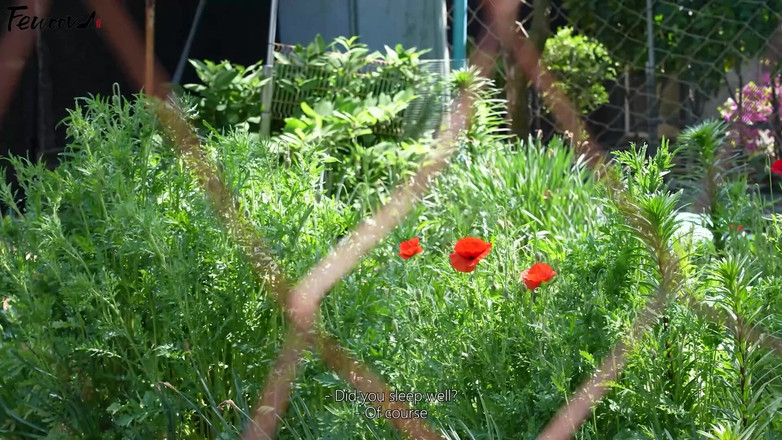 Fewoovcom: Зять жаждет тещи, а жена другого мужчины