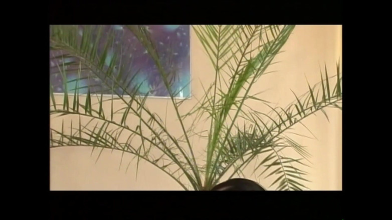 Lady Mesmeratrix Official: Hamile lezbiyenler