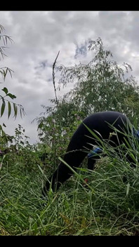 Wachtend op een knappe tuinman