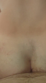 Orso E Cacciatore