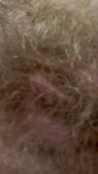 Her Pussy Is so Hairy It’s Seems Unreal