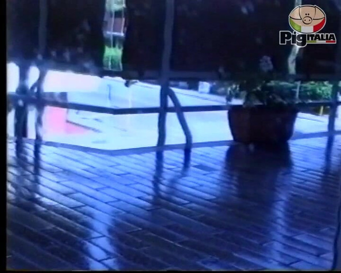 Pig Italia Official: I want to show you how bitch I am and...