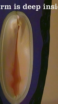 Sexdoll चूत में वीर्य बिस्तर चुदाई