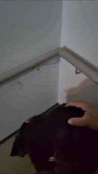 Shy Girl Gets Convinced in Elevator to Swallow a Stranger's Cum
