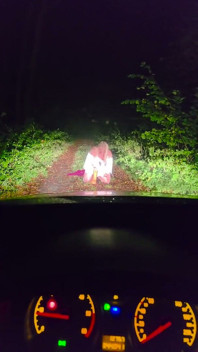 Omg Attrapé Dans La forêt