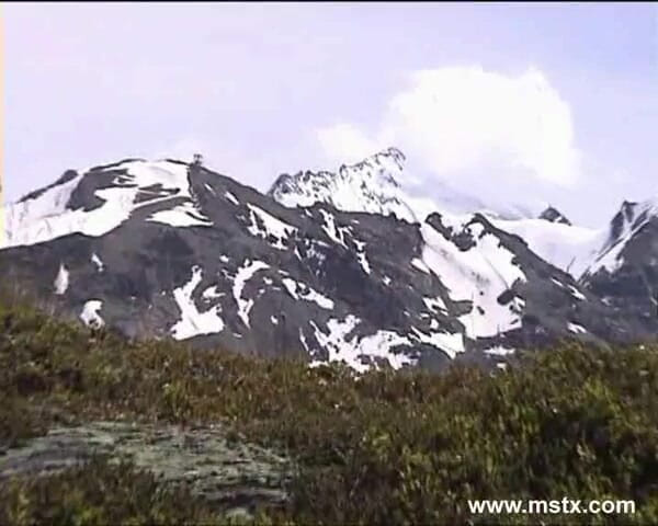 MSTX: Brigitta cu un cur tânăr nebun
