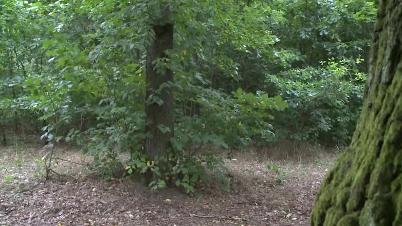 Deutschland porn: Hai người yêu cũ gặp lại nhau