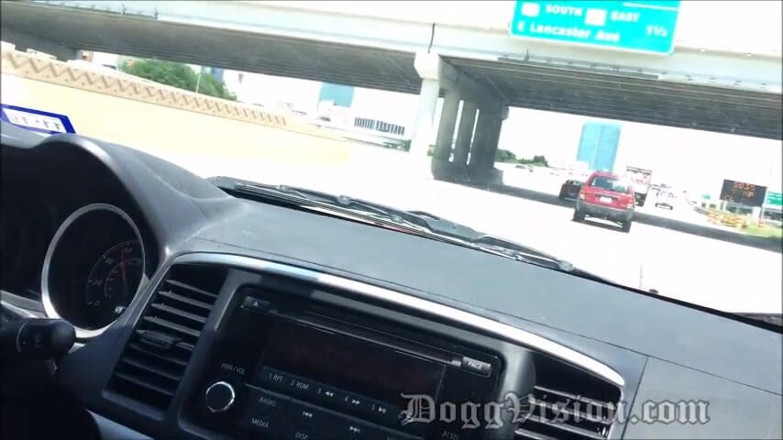 DoggVision: Avventure sega in autostrada