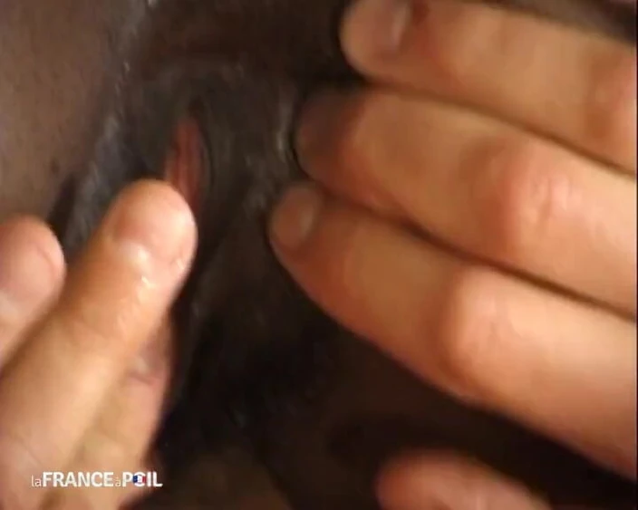 French Family Secrets: Interracial Fucking for That Hairy Pussy Blackette!