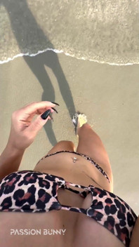Sexy Bikini Chill on the Tropical Beach