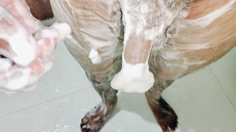 DJraja: Hintli ateşli oğlan gece banyosu kullanılıyor