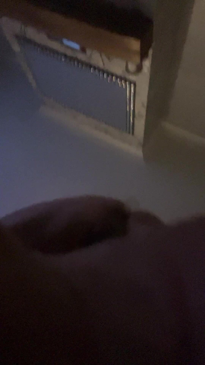 Lovapeggin1: I Love It in My Ass