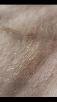 Anybody Want to Run Their Hands Over My Hairy Ginger Chest and Belly?