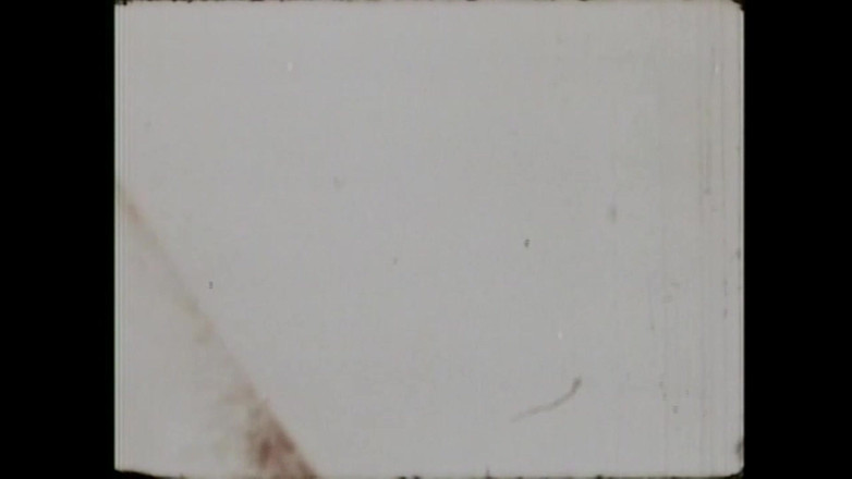 Vintage megastore: 콕 섹커스