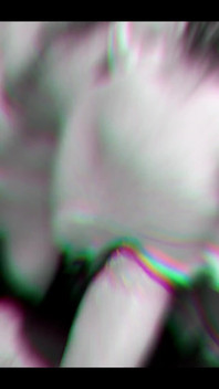 Nothing Makes Me Happier Than Having My Mouth Full