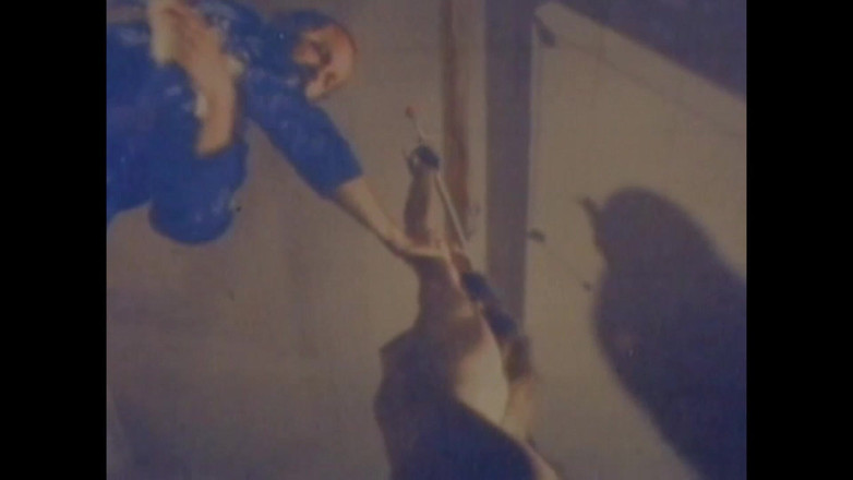 Vintage Usa: 돼지를 보고 즐기세요