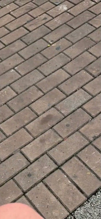 I'm Going to Kick Your Ass with My Size 45 Foot - 12½ Inches