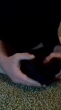 Sock Fetish Fanclub Video of the Month (ffvotm); April 2022