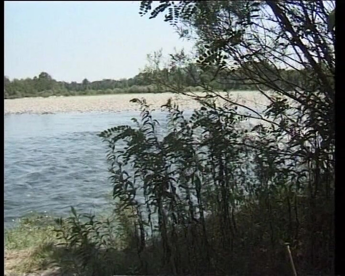 All you need to fuck: O mamă sexy cu forme suge o pulă grasă în cabana...