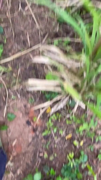 Bertiga Tanpa Kondom Di Luar Rumah Dengan Besar Dalam Puncak Panas