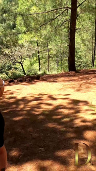 Un oral de la iubita mea în pădure
