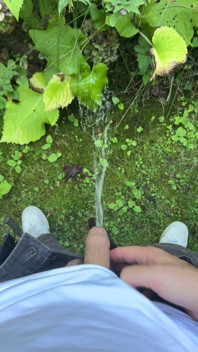 Golden Stream: Peeing in Paradise