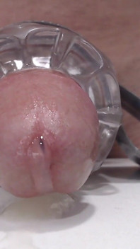 Dick Cums Closeup