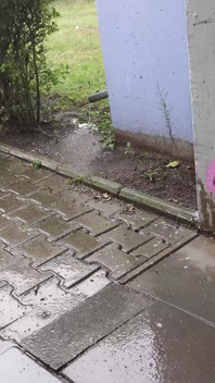 Німецький скаут - підтягнута тінка Адріана Силк отримує сперму в очі після сквірту на пікап порно кастингу