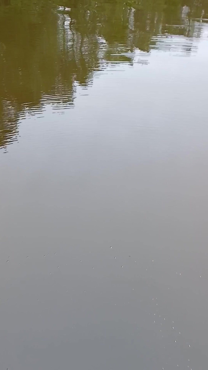 krickan: Dari Bryggan