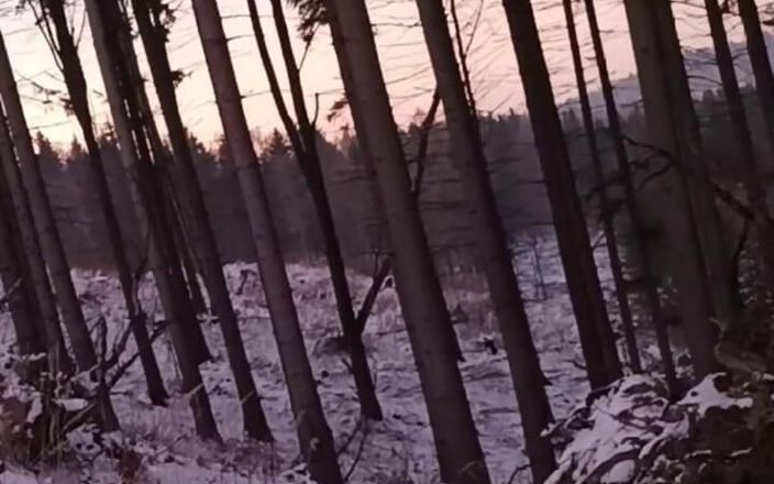 kickerscooter: Natura nuda in inverno