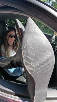 Sexy Boots
