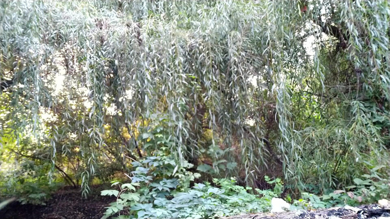 Elena: Autunno primo piscio all'aperto (il vapore esce dal mio getto caldo)