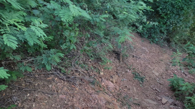 SugarPose: 拉丁女郎在户外露出她的奶子和屁股