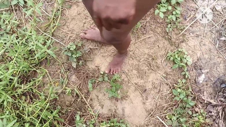 Nenika: Bhabhi ko dschungel mein Bulakar chudai ki