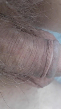 Dick Werner