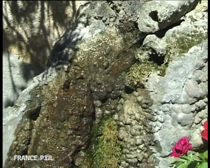 Rue Chaude: Cel slab adoră sodomie și măștile cu spermă!