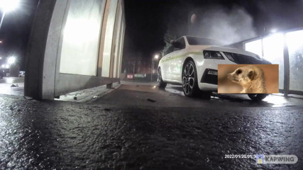 Lingeriemanx69: Car wash in stockings 1