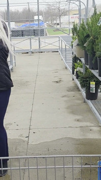 Plant Shopping