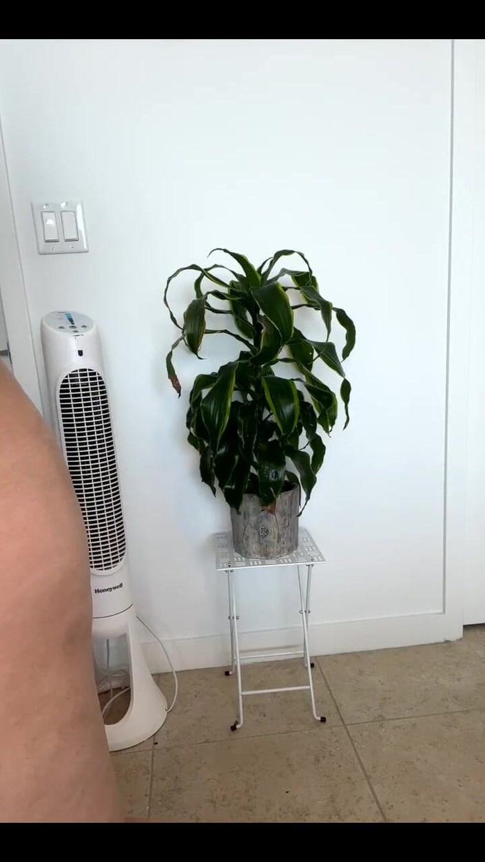 Dani Valentina: Daha önce boşalma şovumu kaçırdın mı?