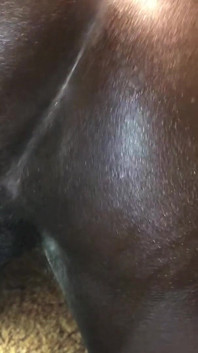 Black Booty Wants BBC