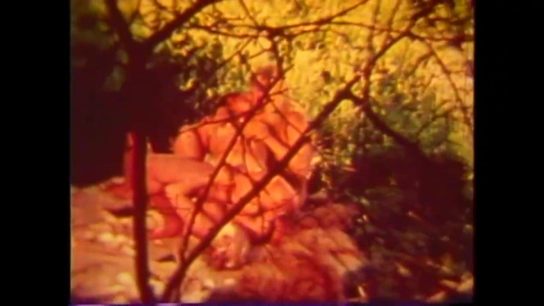 The Unforgettable: Pengujaan Babi