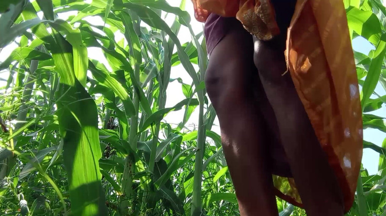 Treblsex: 義理の姉妹はインドのバジラ畑に座って巣穴の水を抜いてください。