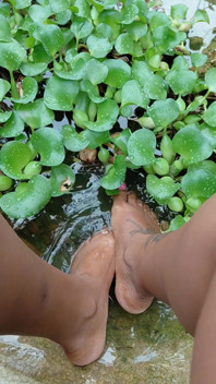 Chilling by the Water Lillies